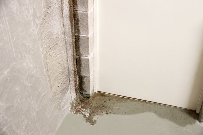 Basement Leak Repair in Fredericksburg, VA