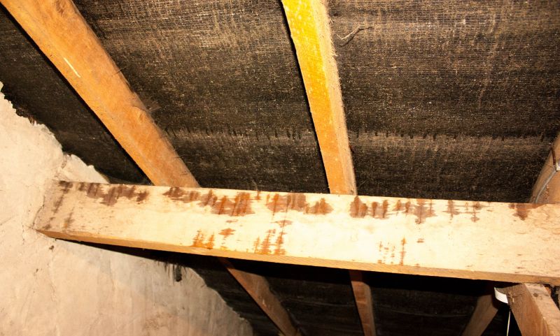 Who Does Pier And Beam Repairs